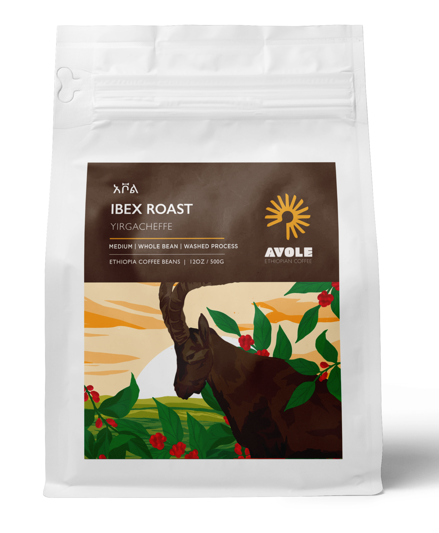 Ibex Roast | Yirgacheffe (Medium Roast)